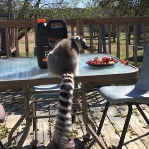 Meet your Posher, Deana